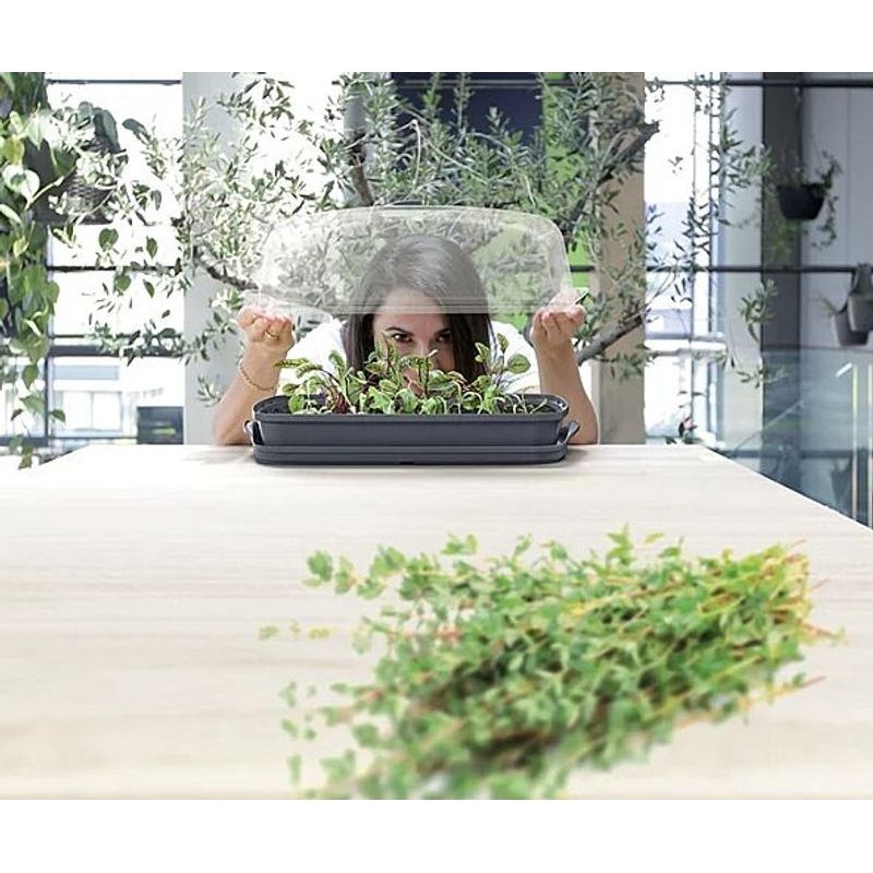 SADBOVAČ RESPANA TABLE GREENHOUSE ANTRACIT 39,1CM - PAŘENIŠTĚ A SADBOVAČE - ZAHRADA