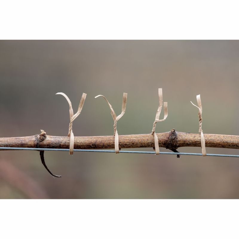 SET ŘEZNÉ NŮŽKY 14,4V RAPID BHX30 + VÁZACÍ KLEŠTĚ BHX50 - AKU NŮŽKY NA VĚTVE - ZAHRADA