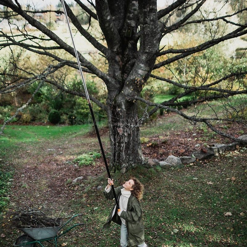 ZAHRADNÍ NŮŽKY UNIVERZÁLNÍ FISKARS UPX86, TELESKOPICKÉ - ZAHRADNÍ NŮŽKY - ZAHRADA