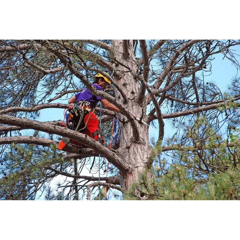 SILKY TSURUGI CURVE 330-7.5 RUČNÍ PILA - PILY A PILOVÉ LISTY SILKY - ZAHRADA