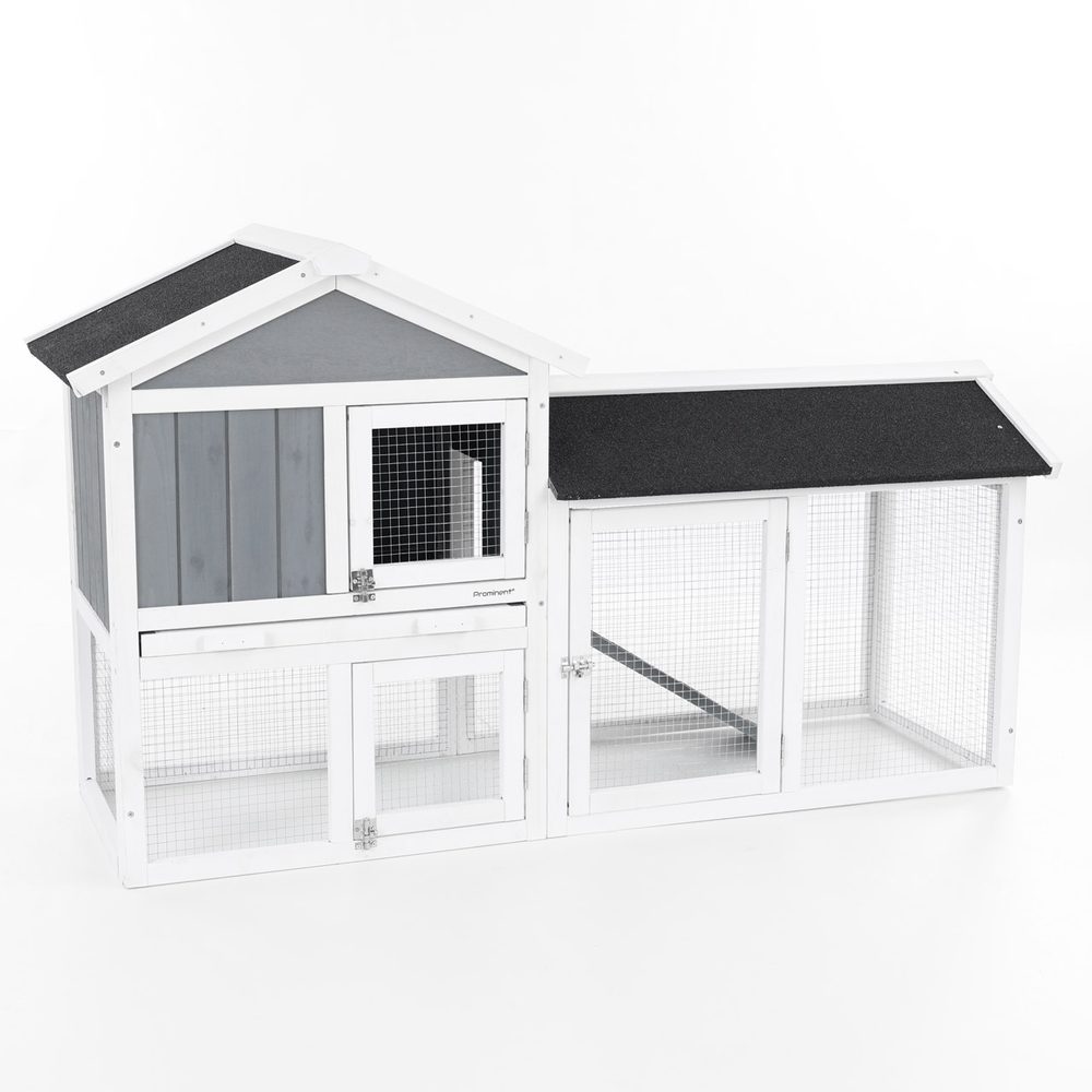 Králíkárna - PROMINENT MOLLY