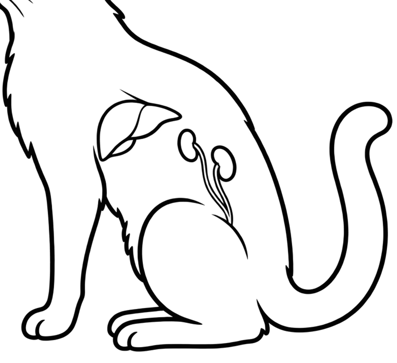 100%