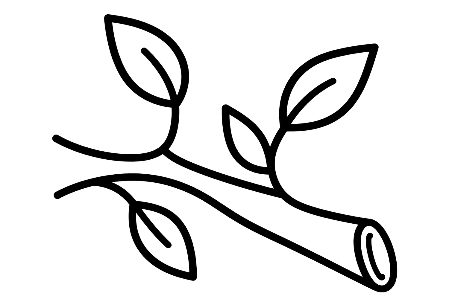 Prořezávání větví
