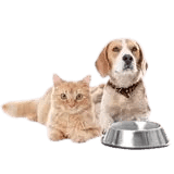 Krmiva PROMINENT
