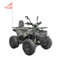 Benzínová čtyřkolka - HECHT 56130 ARMY