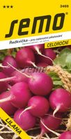 Ředkvička fialová - Lilana, polní pěstování, celoroční 5g