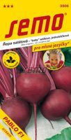 Řepa salátová - Pablo F1 kulatá jednoklíčková 60s - série JAZÝČKY
