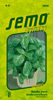 Bazalka pravá - Lettuce Leaf (salátová) 1g
