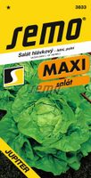 Salát letní - Jupiter polní 0,3g - série MAXI