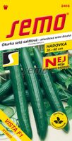 Okurka setá salátová hadovka Vista F1