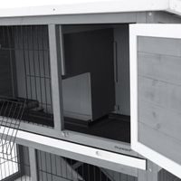 Králíkárna - PROMINENT BUNNY