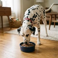 Prominent DOG LAMB RICE 1200 g