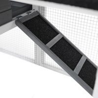 Králíkárna - PROMINENT MOLLY