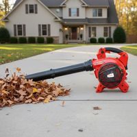 Motorový fukar/vysavač 2in1 - HECHT 9280