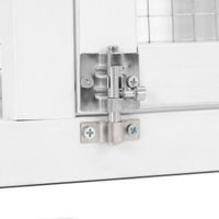 Králíkárna - PROMINENT MOLLY