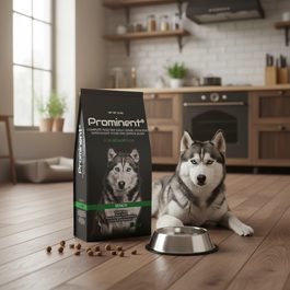 Prominent DOG JUNIOR LARGE BREED 10 kg