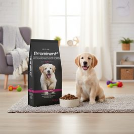 Prominent DOG JUNIOR LARGE BREED 10 kg