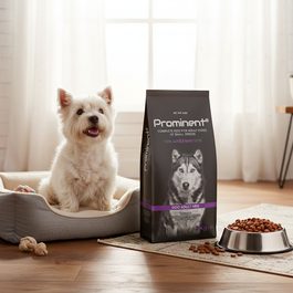 Prominent DOG JUNIOR LARGE BREED 10 kg