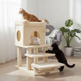 Prominent DOG PUPPY 10 kg