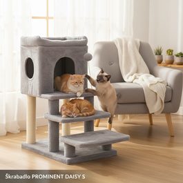 Prominent DOG PUPPY 10 kg