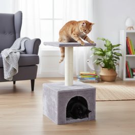 Prominent CAT ADULT SALMON 1,5 kg