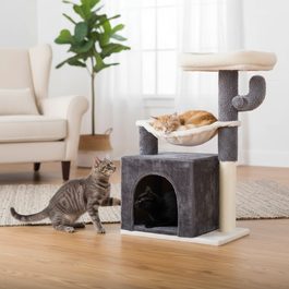 Prominent DOG PUPPY 10 kg