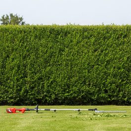 Elektrický plotostřih - HECHT 603