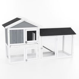 Králíkárna - PROMINENT MOLLY