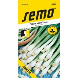 Cibule sečka - Gerda zimní, celoročně pro nať 2g