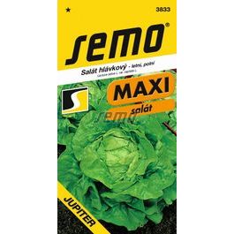 Salát letní - Jupiter polní 0,3g - série MAXI