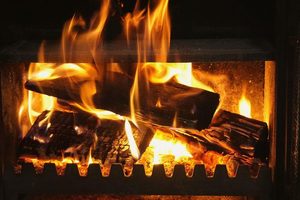 Kolik se dá ušetřit při topením dřevem?