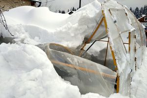 Zabezpečení skleníku na zimu: prevence před těžkým sněhem