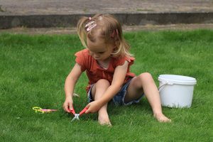 Zelený a odolný: Jak správně pečovat o trávník v horkém létě