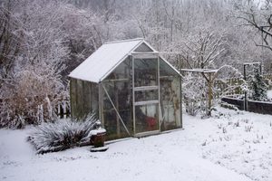 Co v zimě pěstovat ve skleníku?