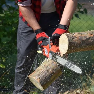 Příprava dřeva na zimu: kompletní průvodce pro začátečníky