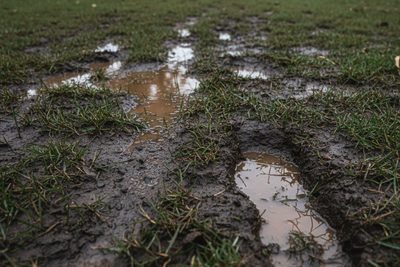 Ochrana trávníku v období vlhkosti: Jak zabránit poškození a roznášení bláta