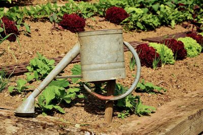 Efektivní zavlažování a úspora vody na zahradě: Praktické tipy a triky