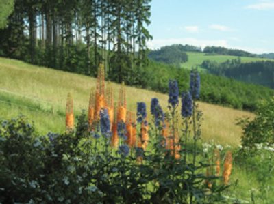 Slavnostní příležitosti a květiny