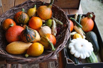 Podzimní dobroty nejen s příchutí černého bezu