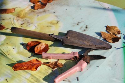 Jak správně zazimovat zahradní nářadí