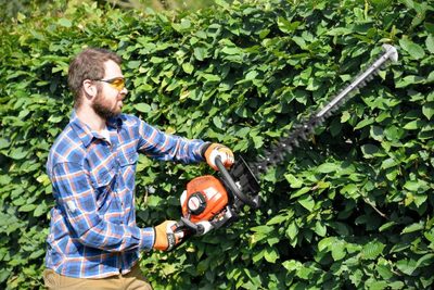 Méně práce, více radosti: Živý plot bez zbytečného úsilí při stříhání!