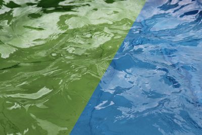 Jak udržet vodu v bazénu čistou a průzračnou