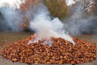 Spadané listí: Hrabat či nehrabat? Názory se různí