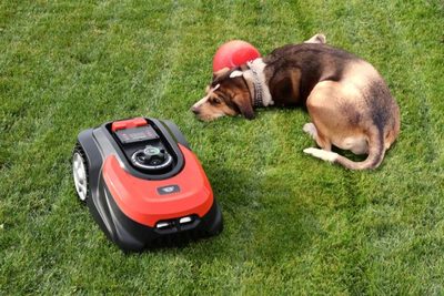 Inteligentní péče o trávník: Přestaňte sekat a začněte žít!