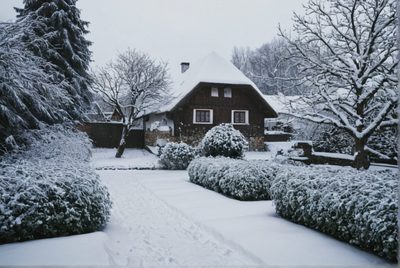 Co dělat v lednu na zahradě