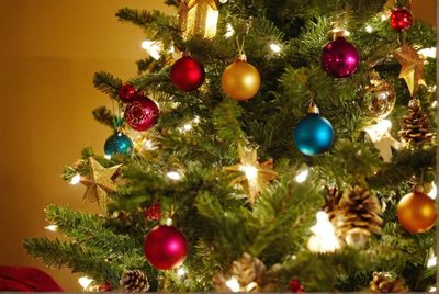 Udržte svůj stromek svěží po celé Vánoce