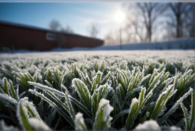 Zimní údržba trávníku: Jak ochránit váš trávník před mrazy, blátem a poškozením?