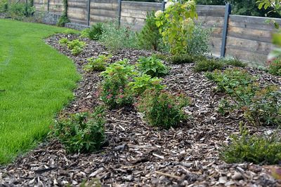 Vše, co byste měli vědět o mulčování