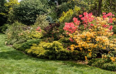 Jak (ne)založit zahradu