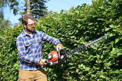 Jak udržet živý plot na uzdě?